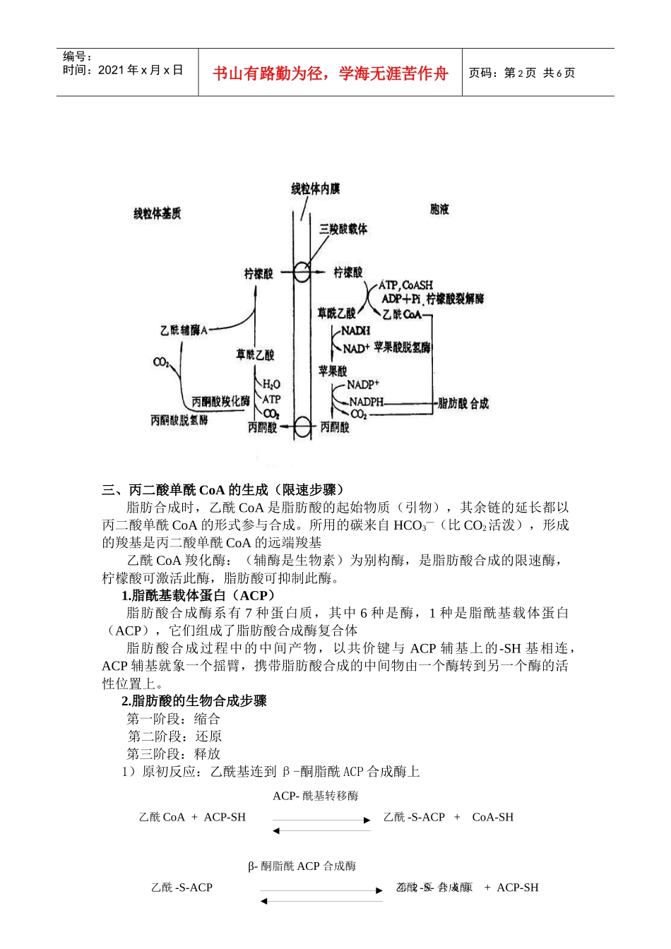 第29章脂类的生物合成doc-欢迎光临生物工程系！_第2页