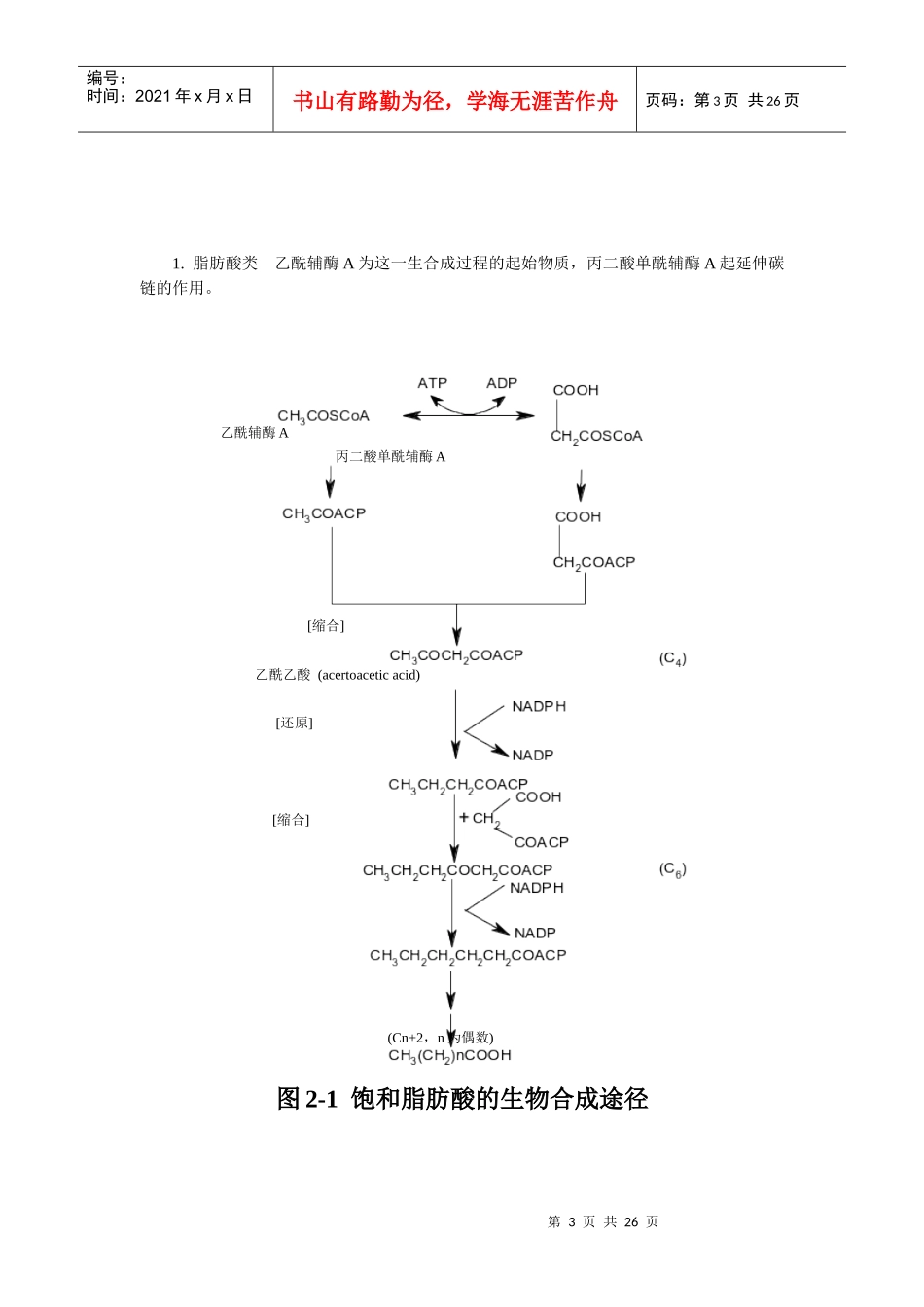 第二章中药化学成分的一般研究方法doc-第二章中药化学成_第3页