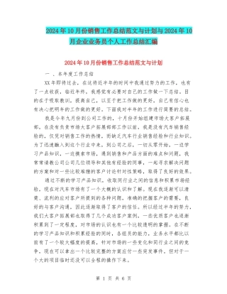 2024年10月份销售工作总结范文与计划与2024年10月企业业务员个人工作总结汇编