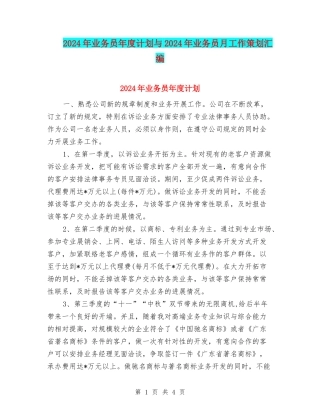2024年业务员年度计划与2024年业务员月工作策划汇编