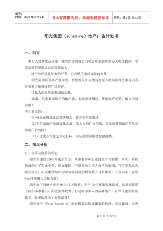 阳光集团地产广告计划书