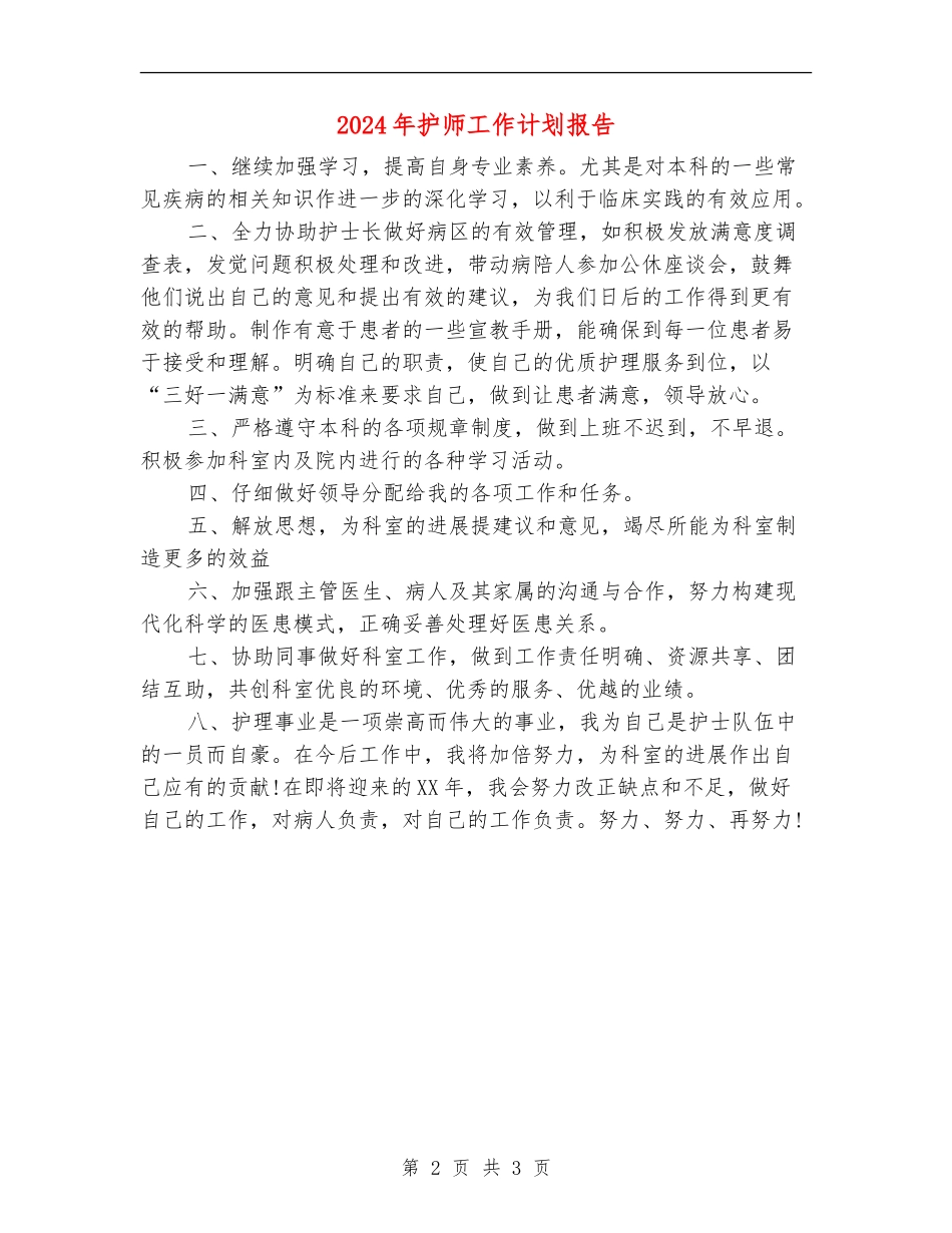 2024年护师工作计划报告_第2页