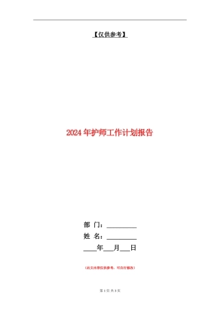 2024年护师工作计划报告