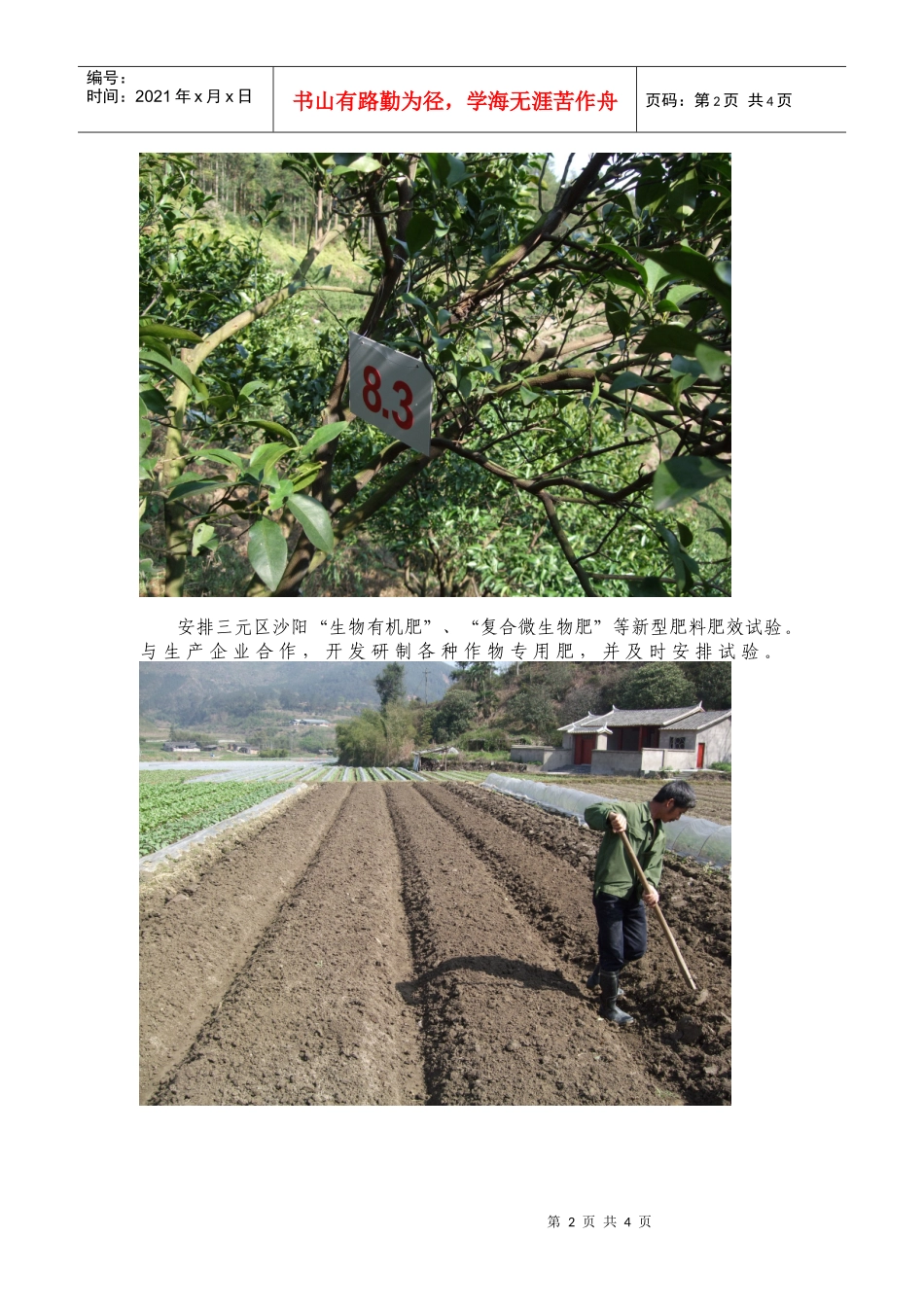 积极推广农业五新技术(1)_第2页