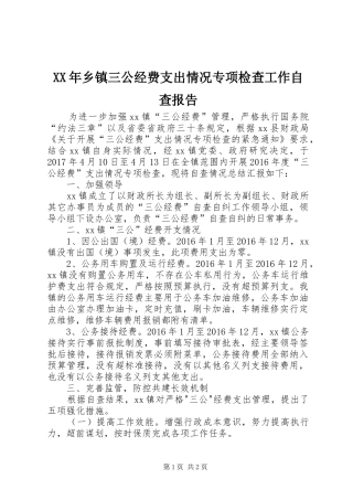 XX年乡镇三公经费支出情况专项检查工作自查报告