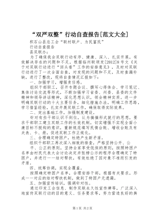 “双严双整”行动自查报告[范文大全]