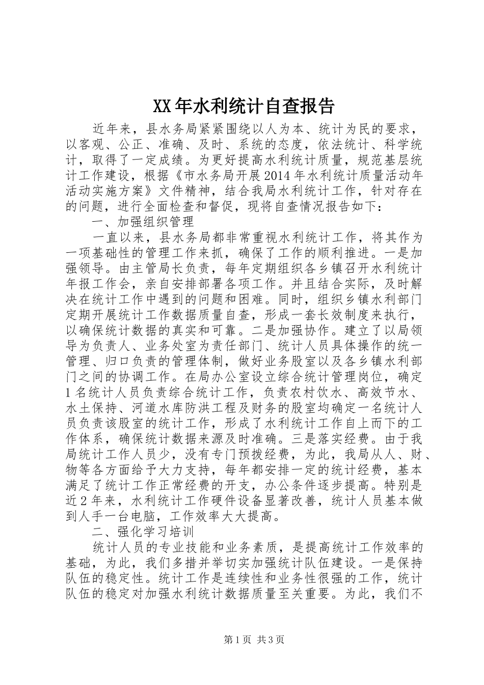 XX年水利统计自查报告_第1页