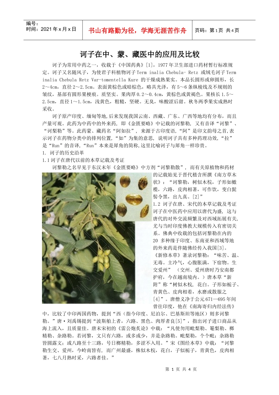 诃子在中-浏览网、订杂志、杂志订阅、网上订杂志、电子杂志_第1页