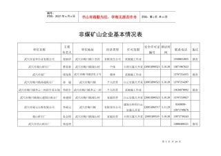 非煤矿山企业基本情况表