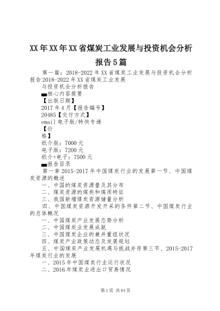 XX年XX年XX省煤炭工业发展与投资机会分析报告5篇