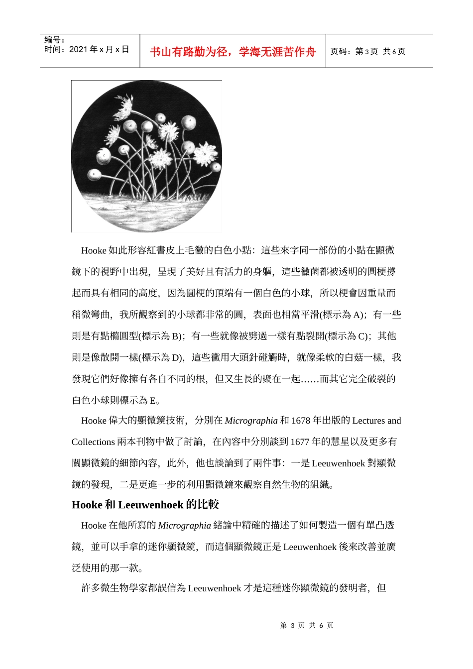 让我们重新认识17世纪伟大的微生物学家_第3页
