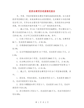 投资在建项目进展情况报告