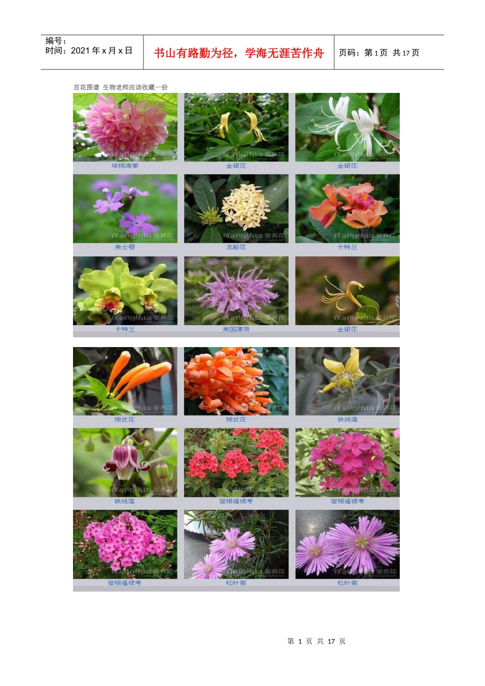 百花图谱 生物老师应该收藏一份_第1页