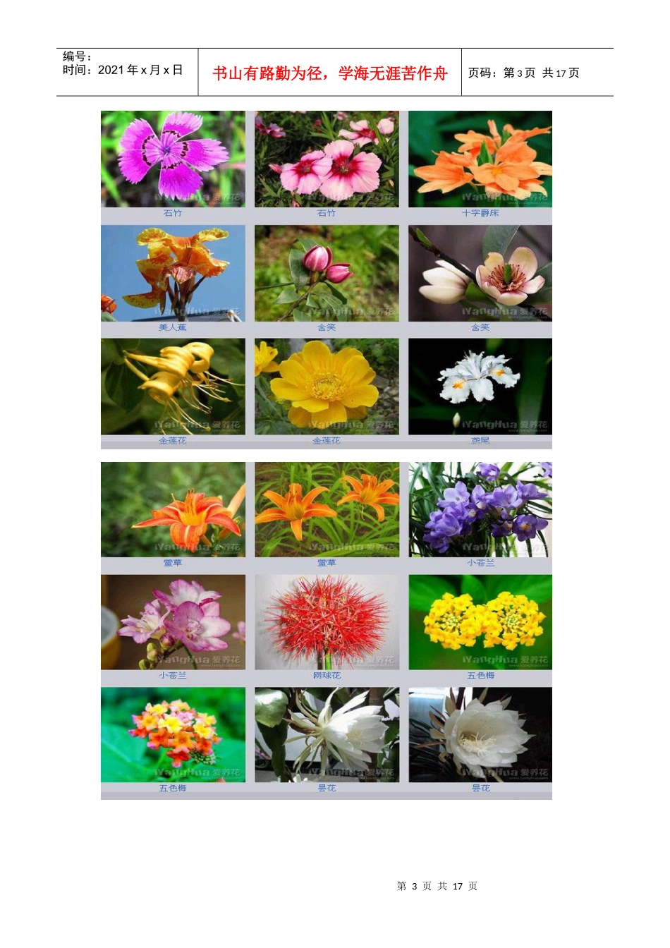 百花图谱 生物老师应该收藏一份_第3页