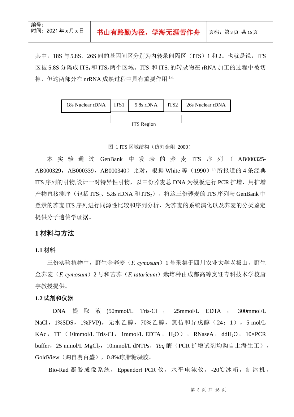 荞麦内转录间隔区(ITS)的扩增及序列分析-四川农业大学_第3页