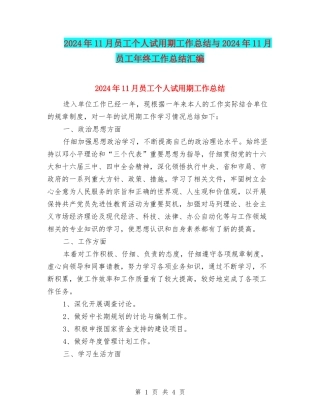 2024年11月员工个人试用期工作总结与2024年11月员工年终工作总结汇编
