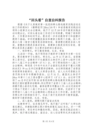 “回头看”自查自纠报告