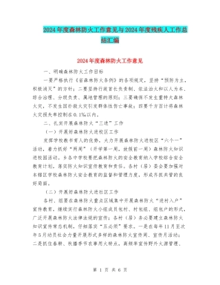 2024年度森林防火工作意见与2024年度残疾人工作总结汇编