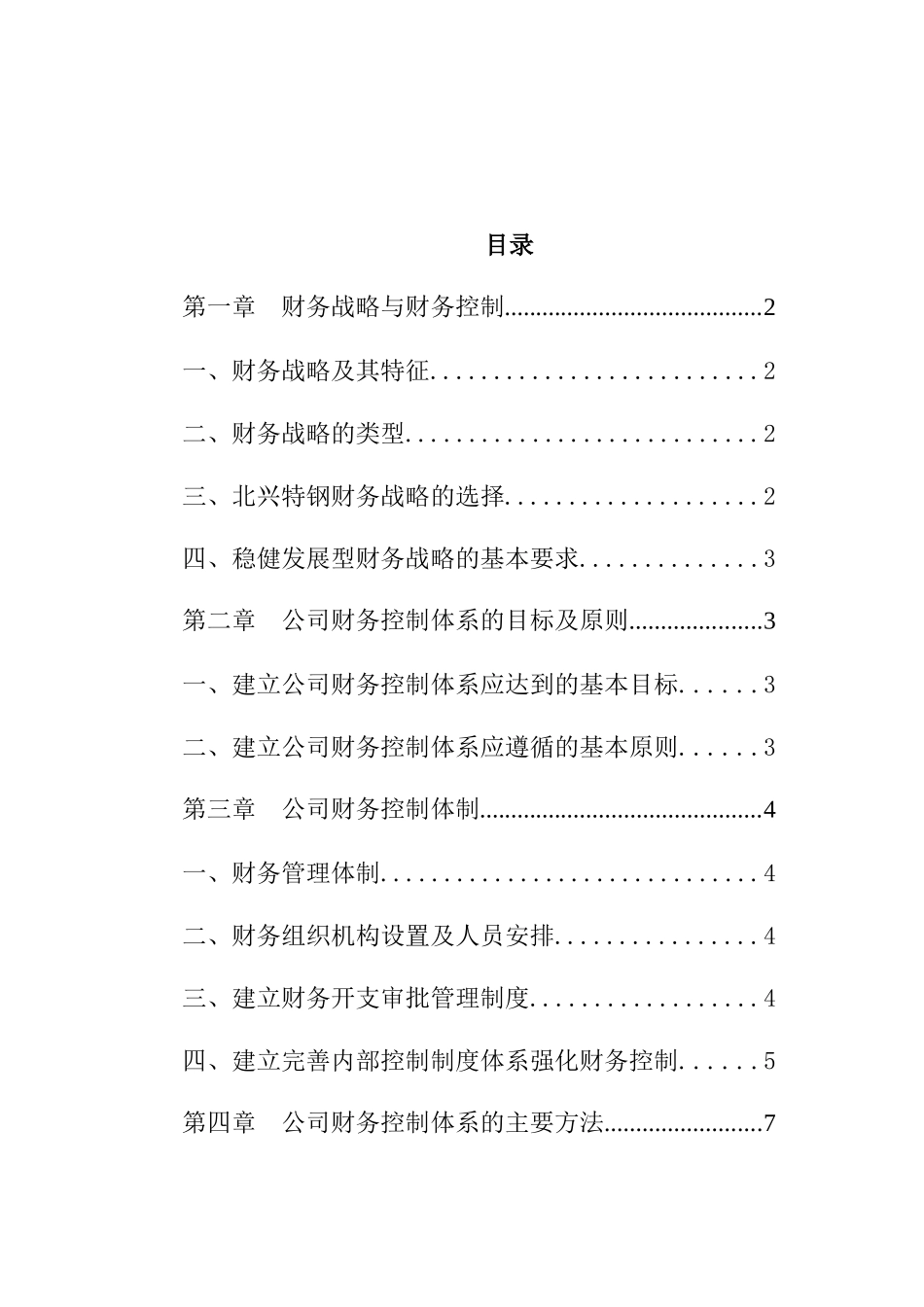 某公司财务战略控制体系说明书_第1页