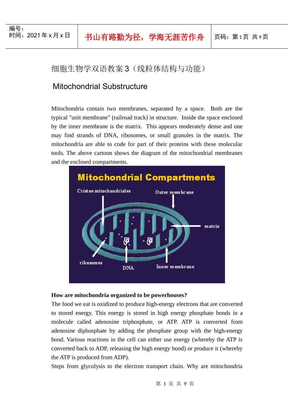 细胞生物学双语教案3(线粒体结构与功能)_第1页