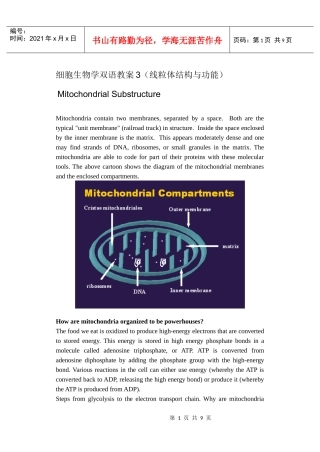 细胞生物学双语教案3(线粒体结构与功能)
