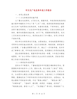 市文化广电总局年底工作报告