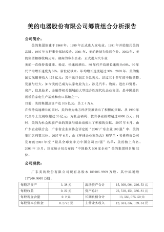 某公司筹资组合管理及财务知识分析报告