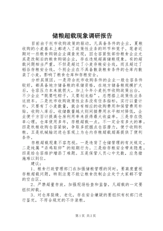 储粮超载现象调研报告