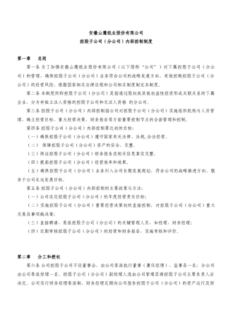 某控股公司内部控制制度