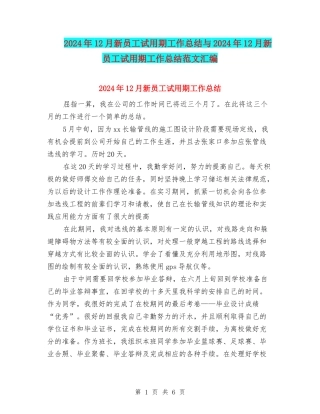 2024年12月新员工试用期工作总结与2024年12月新员工试用期工作总结范文汇编