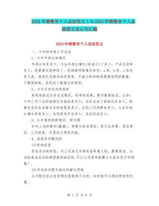 2024年销售员个人总结范文3与2024年销售员个人总结范文怎么写汇编