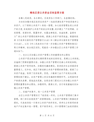 区委公共资金目标监管方案