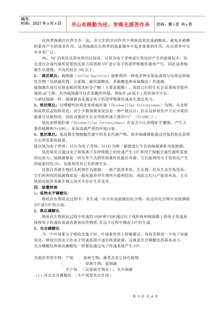 第五章微生物的代谢_第3页