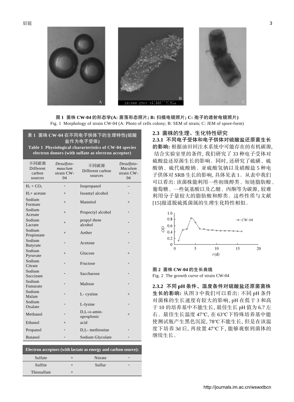 腐蚀生物膜垢中硫酸盐还原菌的系统进化分析_第3页