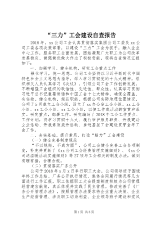 “三力”工会建设自查报告