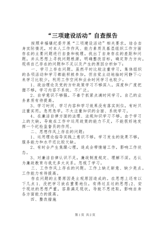 “三项建设活动”自查报告