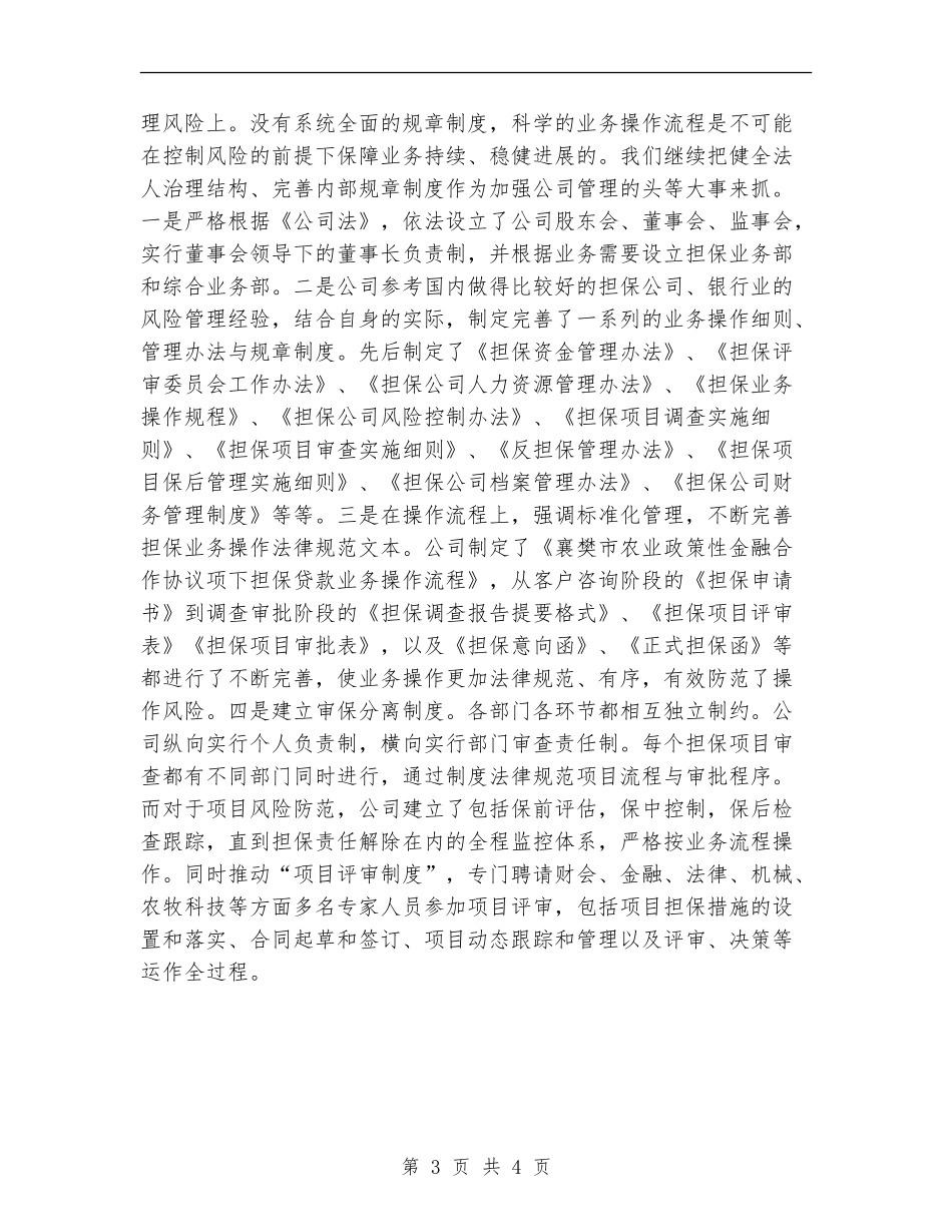 2024年农业信用担保公司年终总结_第3页