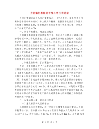 大场镇扫黑除恶专项斗争工作总结