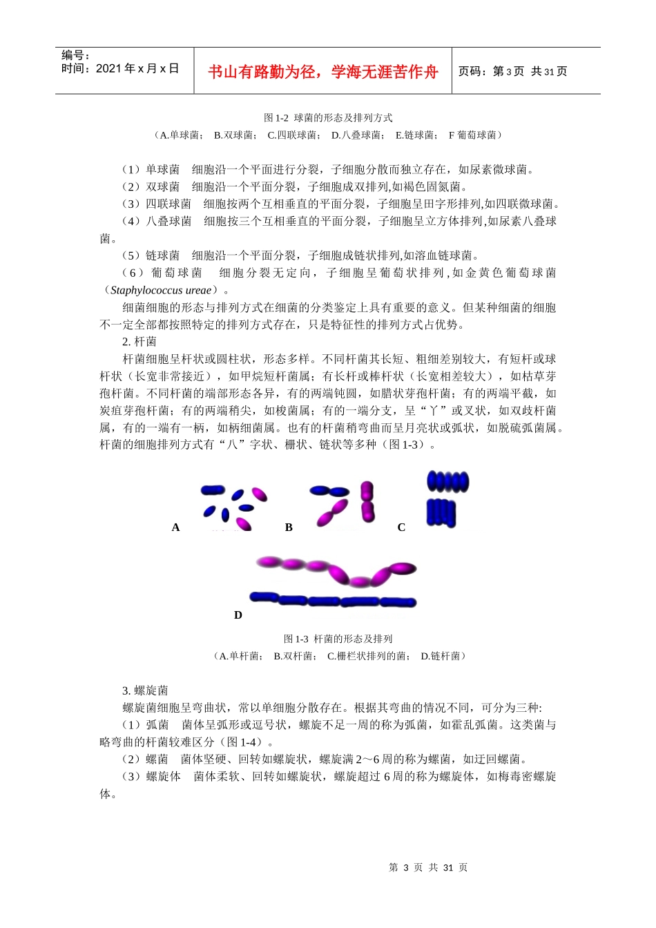 第一章原核微生物-中国养殖信息网—养殖信息养牛信息养羊信_第3页