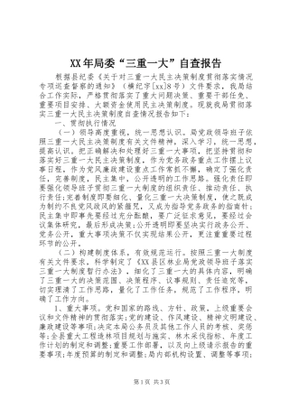 XX年局委“三重一大”自查报告