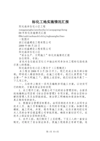 标化工地实施情况汇报