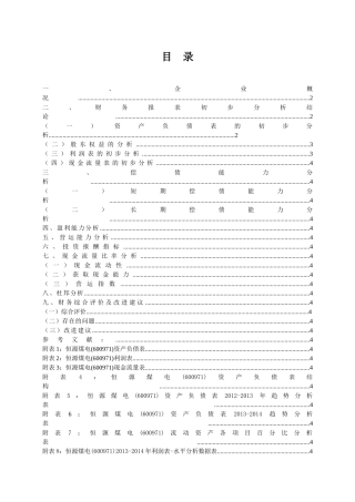 煤电股份有限公司财务报表分析