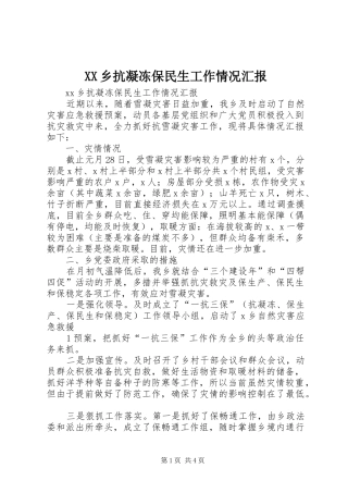 XX乡抗凝冻保民生工作情况汇报