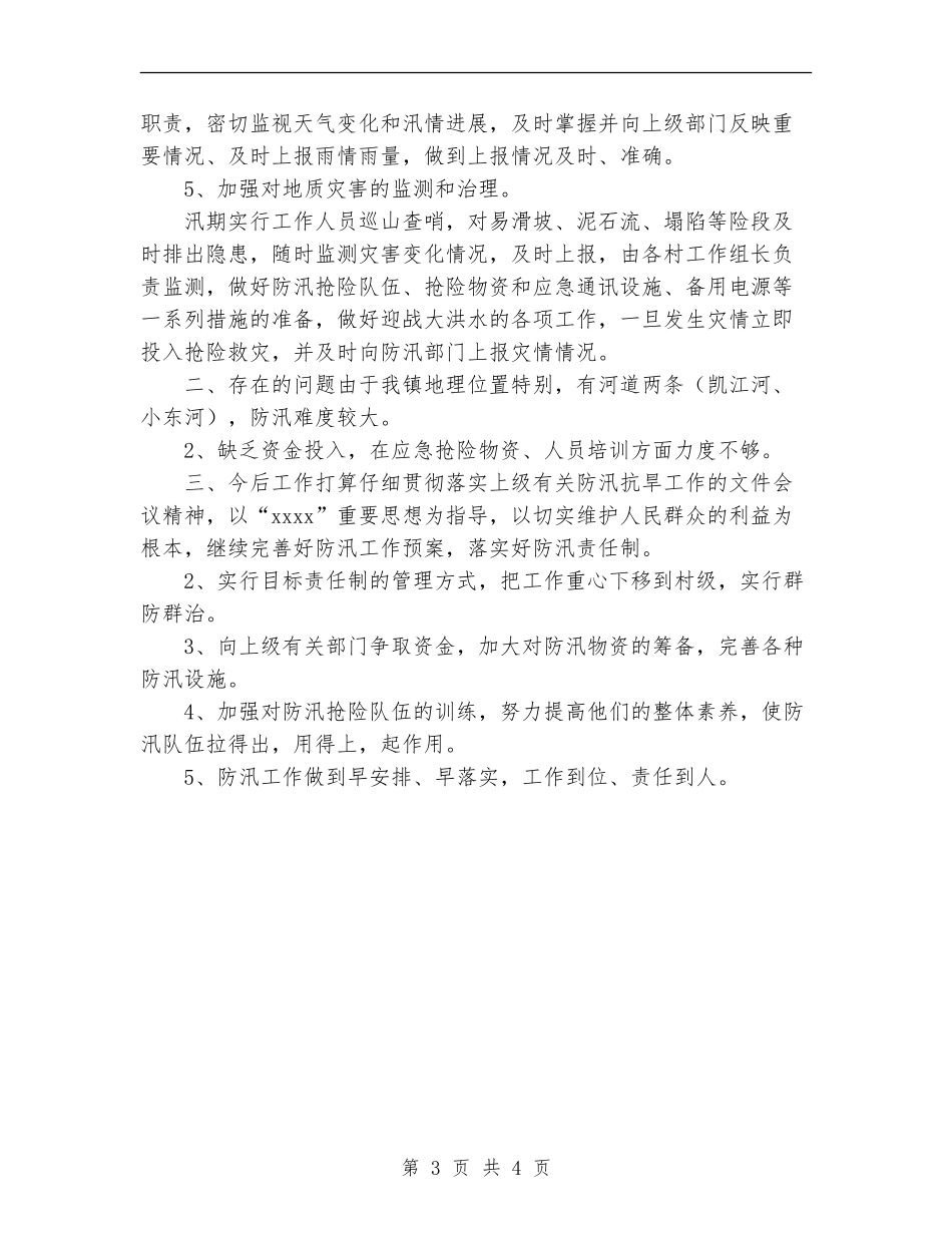 2024年乡镇防汛工作总结_第3页