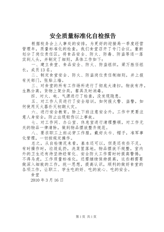 安全质量标准化自检报告