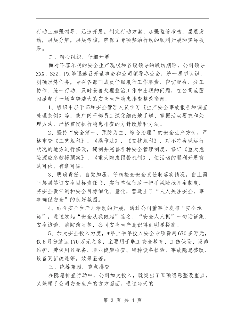 安全生产隐患排查治理专项行动情况总结【新版】_第3页