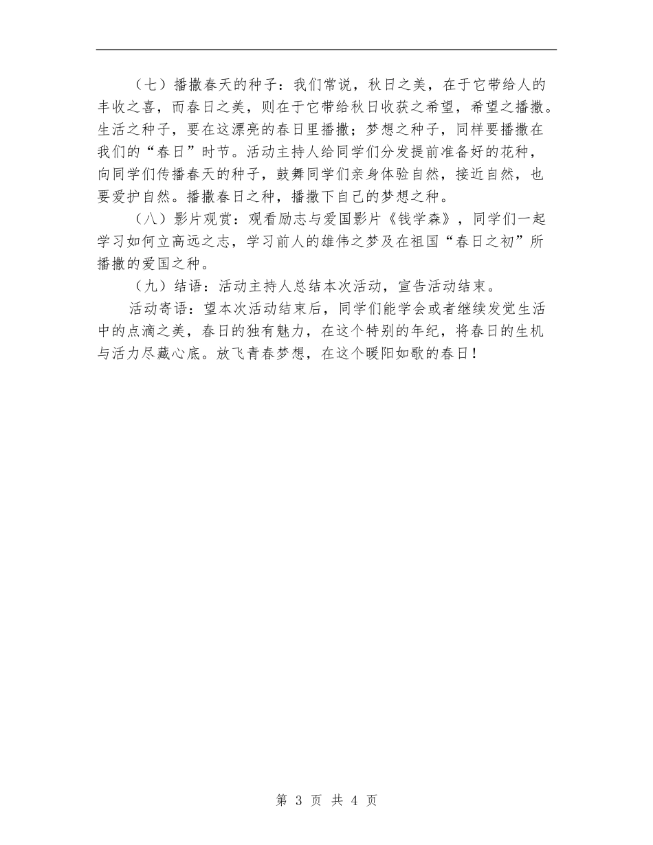 放飞梦想主题团日活动策划书_第3页