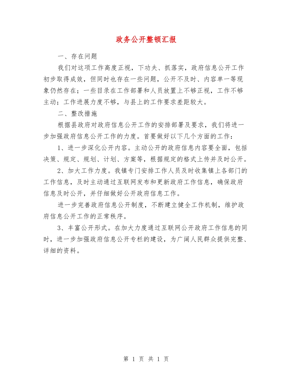 政务公开整顿汇报_第1页
