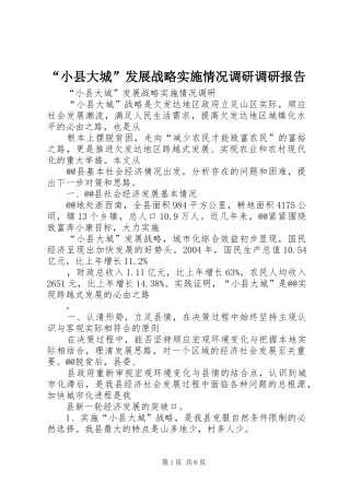 “小县大城”发展战略实施情况调研调研报告