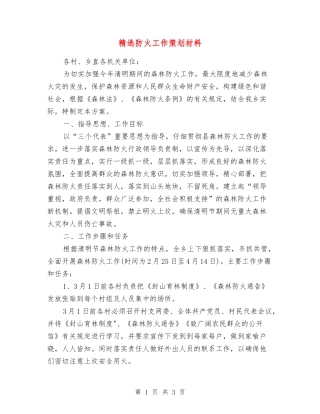防火工作策划材料